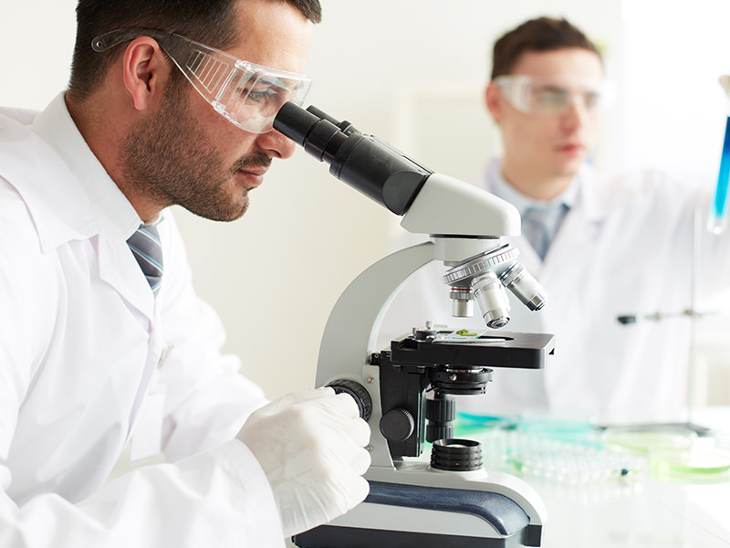 Man Looking through Microscope 1