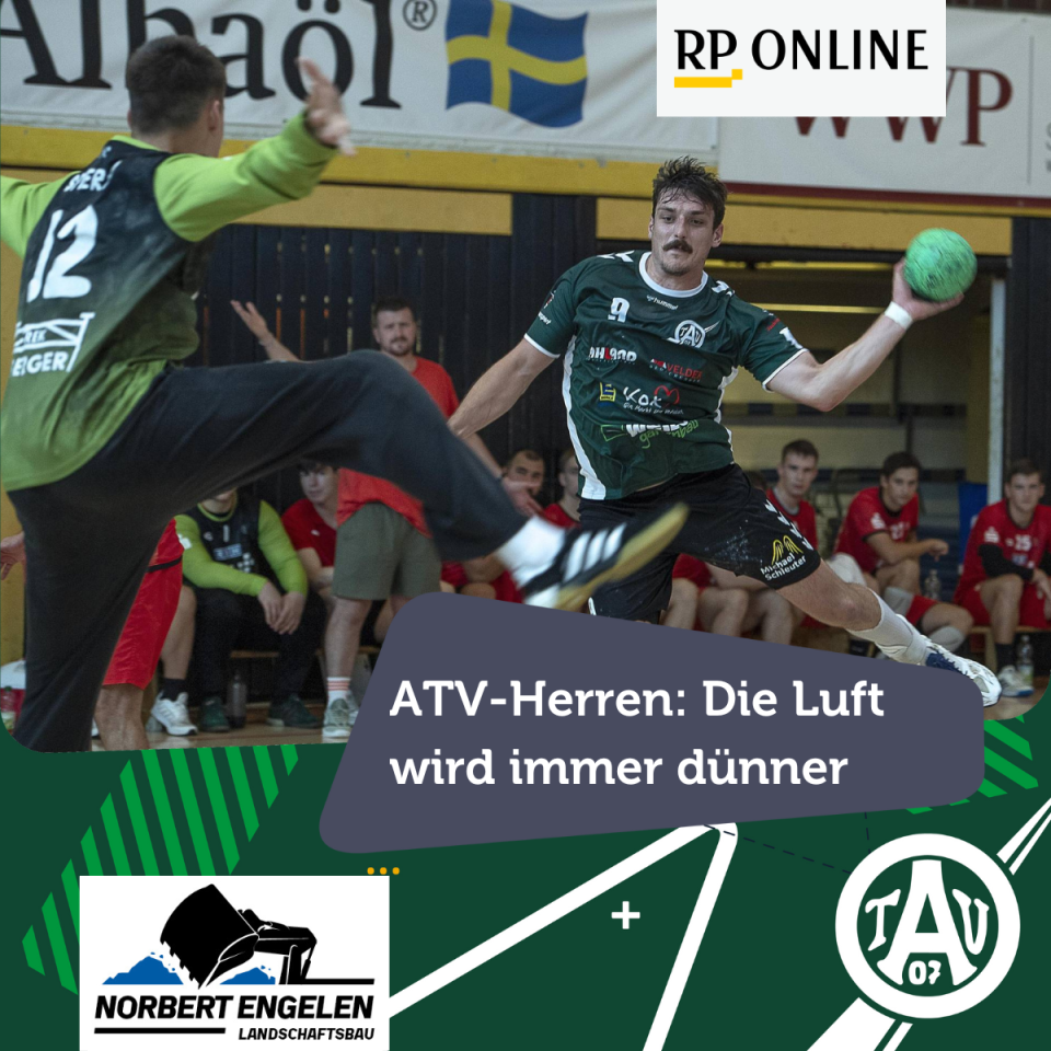 20241103_H1_RP_Bericht